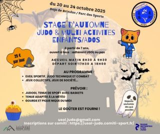 Stage Judo et multi-activités